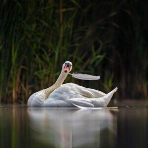 Interested in something?  Please make a reasonable offer!